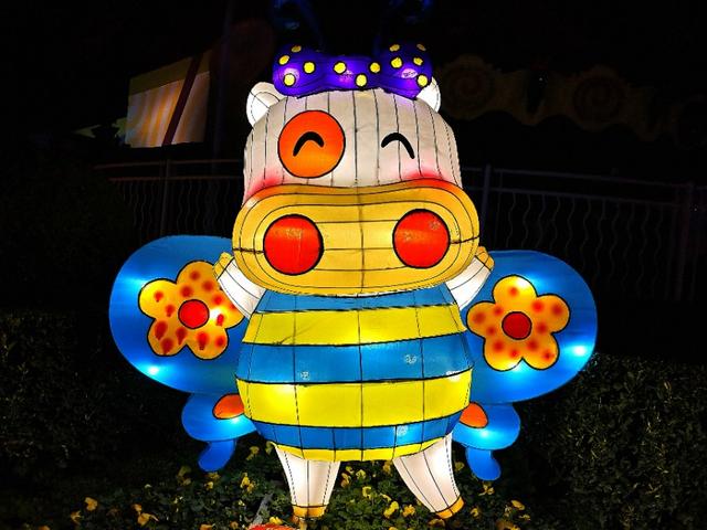 可爱的小麦兜,麦兜最喜欢去哪里旅游