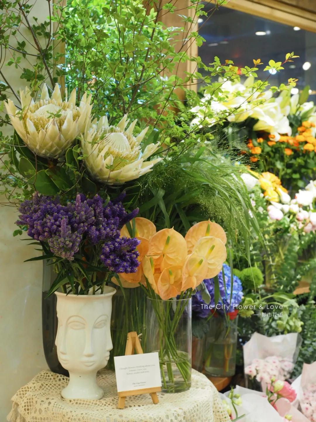 都市花语门票多少钱,都市花语免费阅读