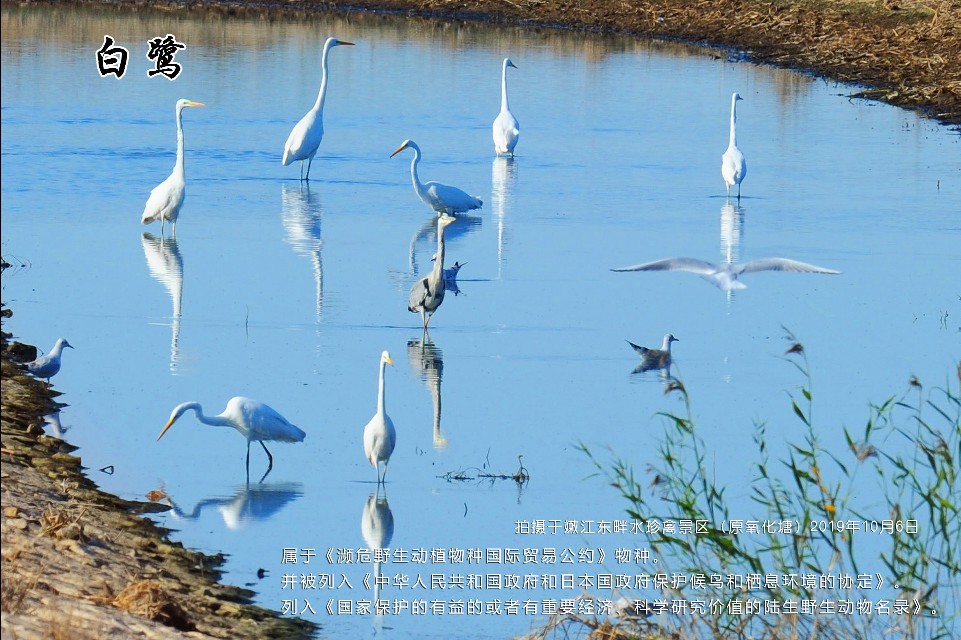 榻愰綈鍝堝皵瀚╂睙涓滄按鐝嶇鍏洯,榻愰綈鍝堝皵瀚╂睙涓滄按鐝嶇婀垮湴鍏洯
