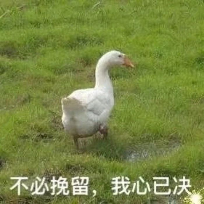 最低只要10块钱！这些网红单品实在是太可怕了！