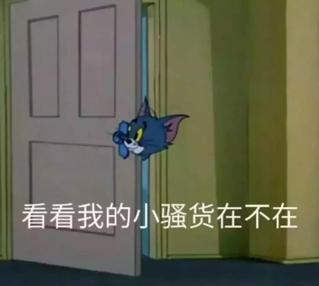 ZARA、UR新品直通车!温柔色走一波,穿上真的美哭!