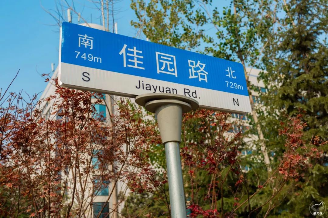 不输武大樱花，文华学院美“枫”了