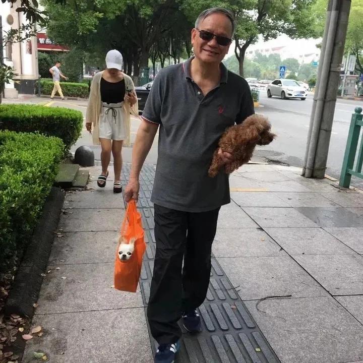 黄鼠狼在超市偷东西,黄鼠狼超市偷火腿肠