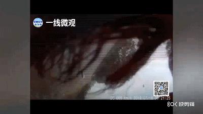 开车路上爆胎了应该找谁,开车遇上汽车爆胎