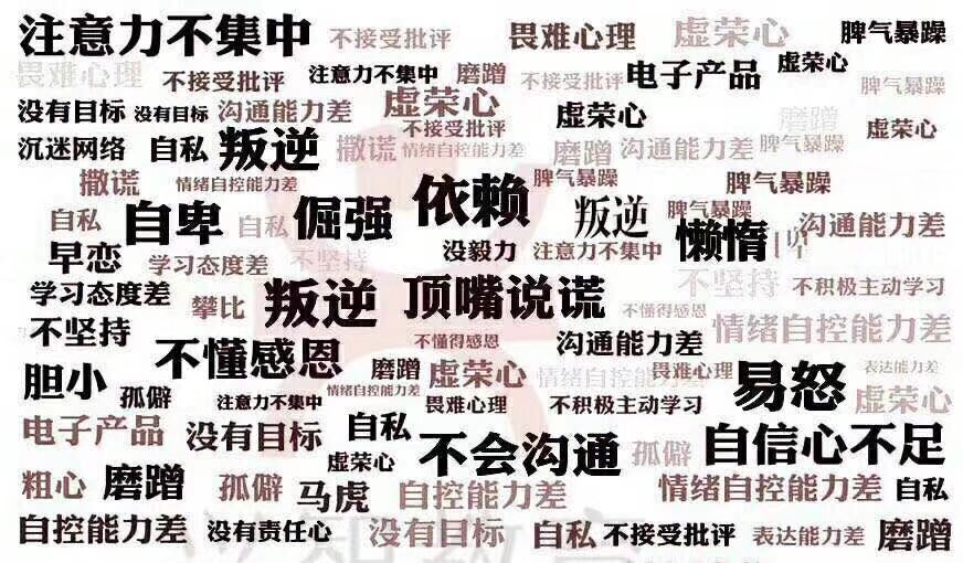 孩子缺乏毅力和专注力,孩子缺乏毅力怎么办