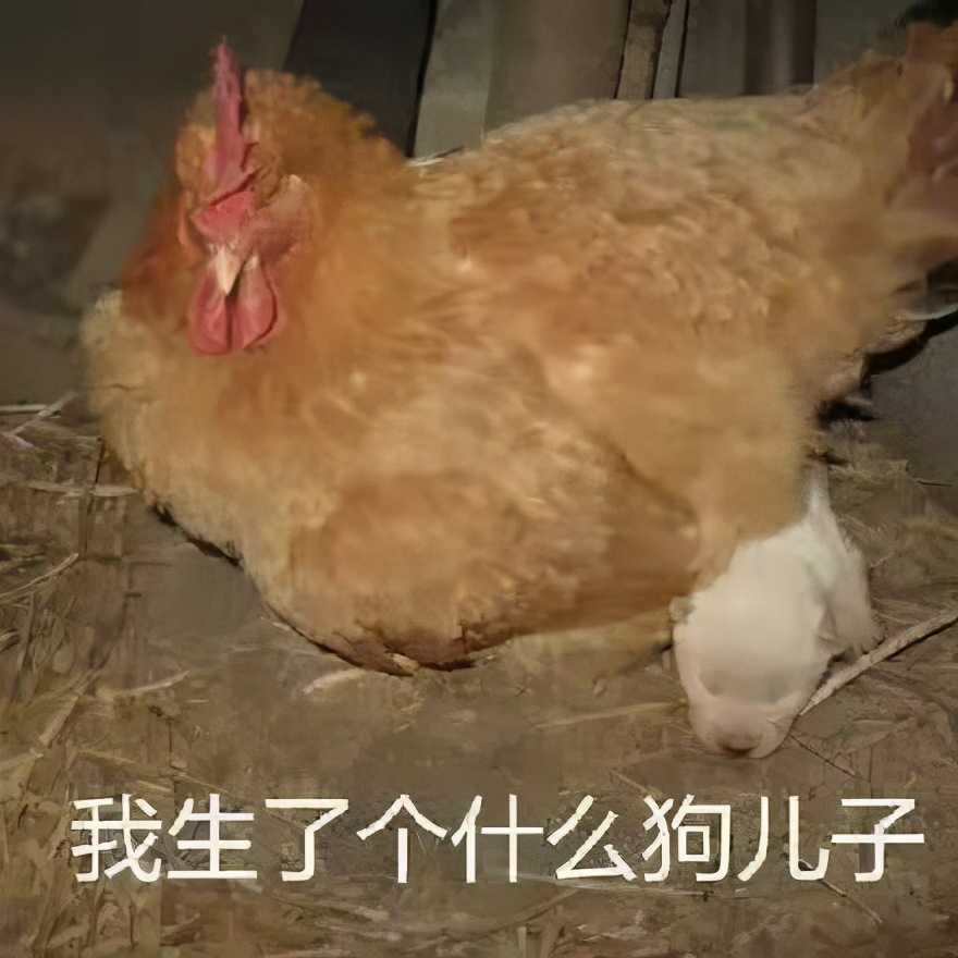 俄罗斯生活纪录片令人震惊的,揭秘富人奢靡生活的电影