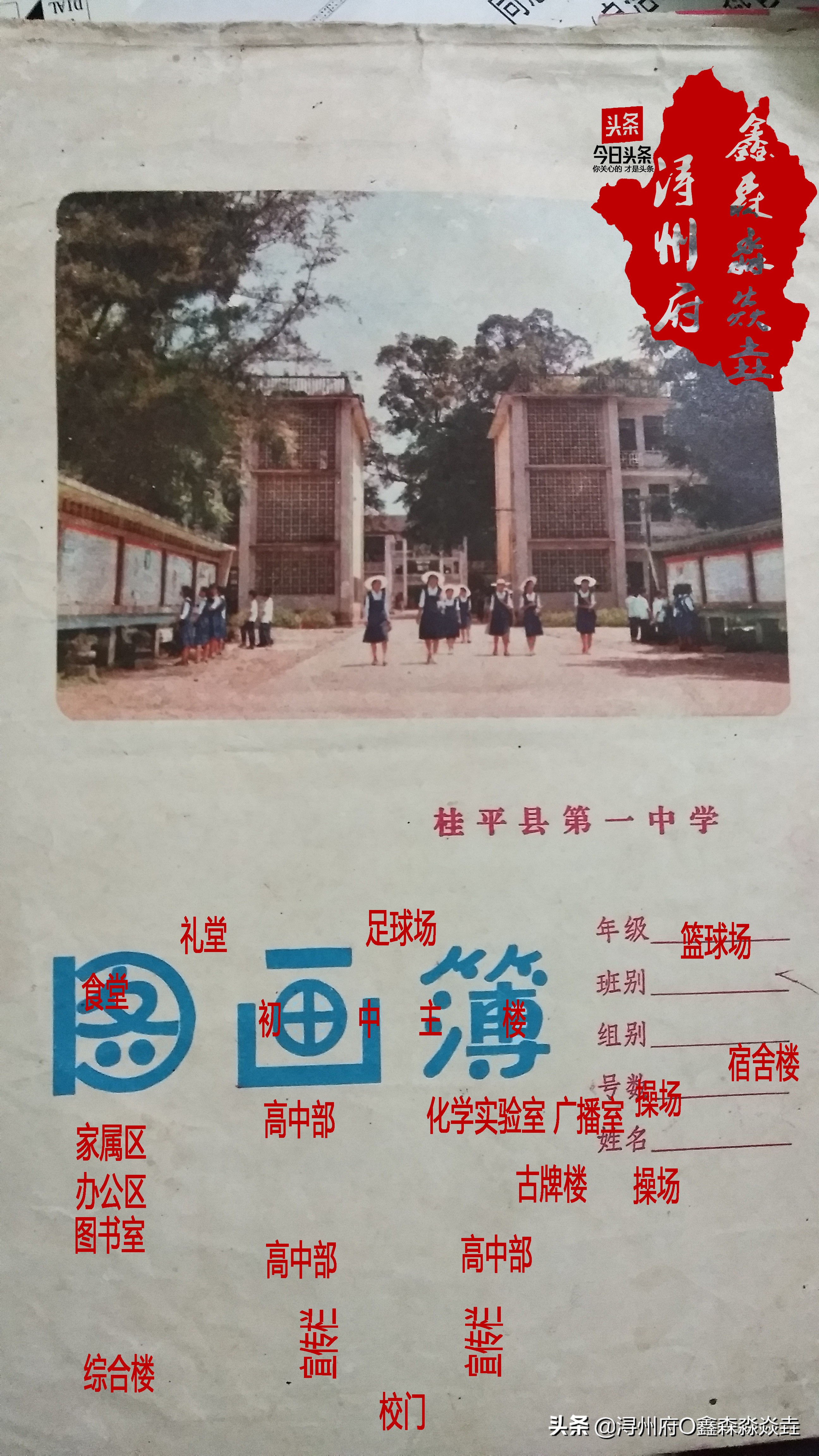 桂平浔州高中校友录,桂平市第一中学知名校友