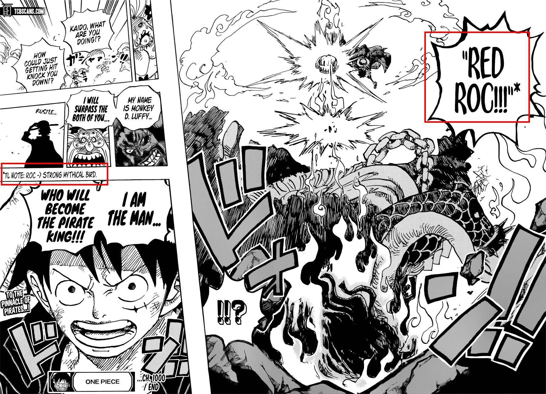 小议“D”的意义、路飞的梦想、路飞的新绝招、超越海贼王的人