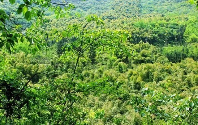 成都清凉耍水,成都周边免费露营耍水