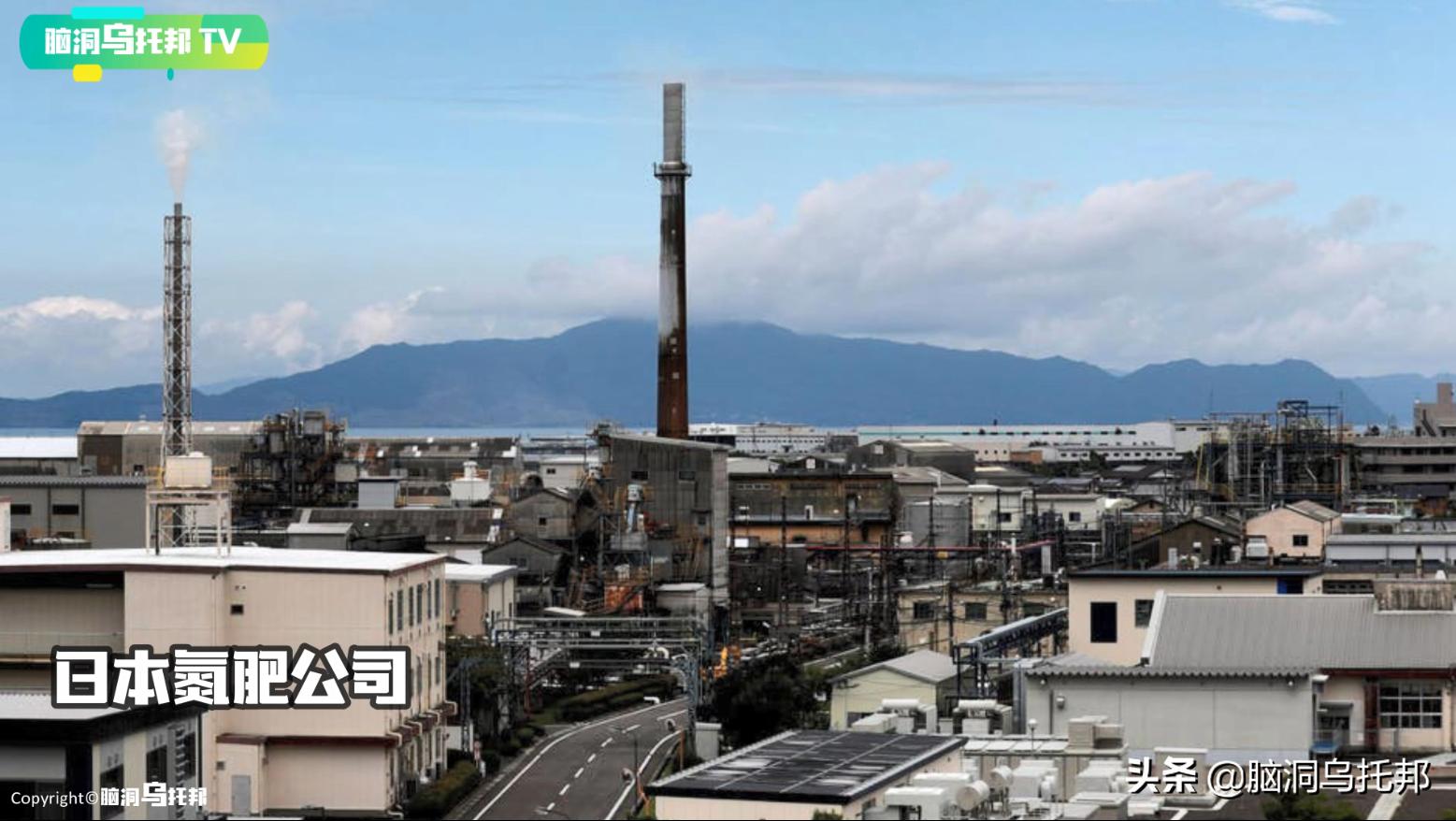 万只猫集体跳海，一场只有死亡才能终结的诅咒！日本诡异事件真相