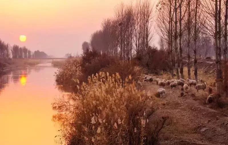 旅行海洋城市,旅行巴彦淖尔