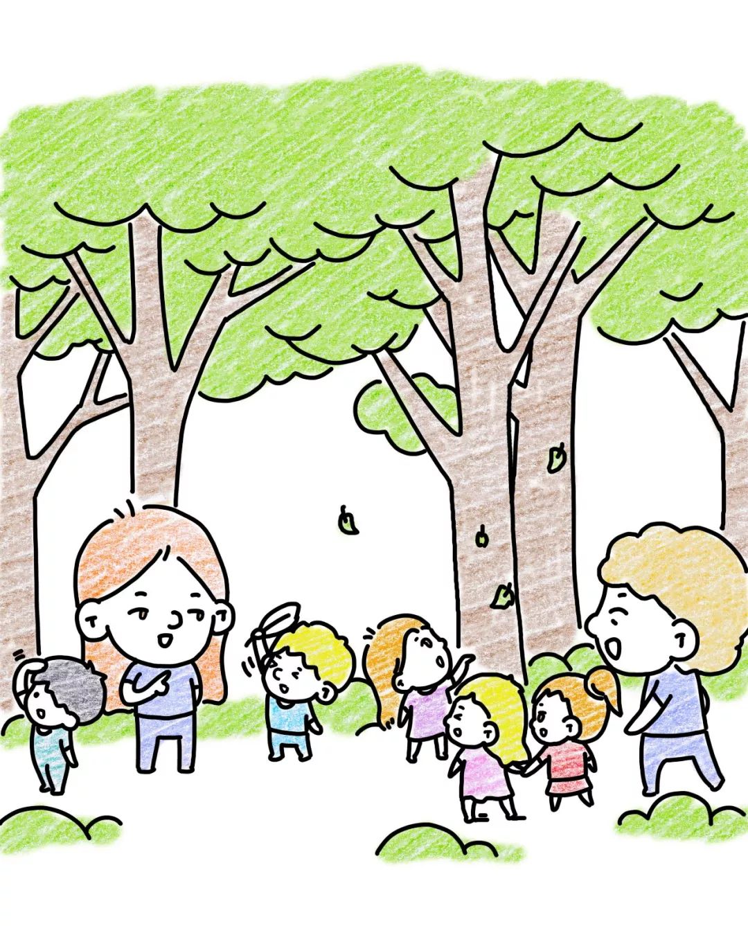 国家对华德福的态度,华德福在中国的发展历程