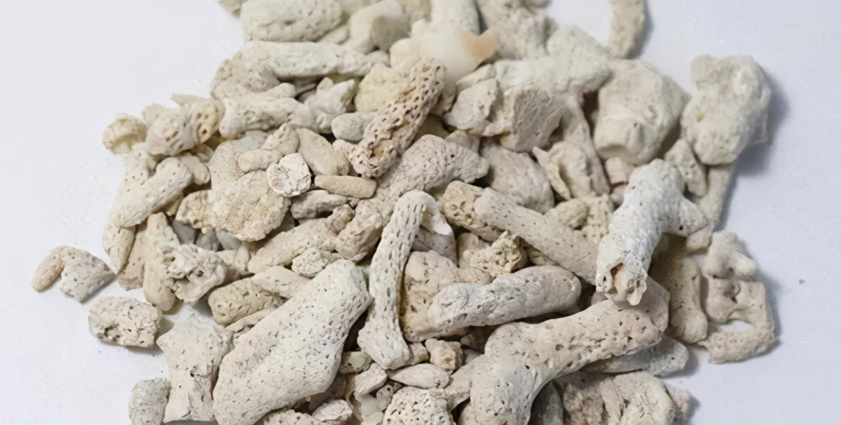 批量养钻纹龟最佳饲养方法,钻纹龟饲养注意点什么