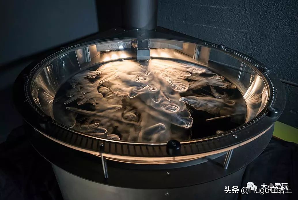 香港亲子游最佳路线图,香港亲子游攻略图