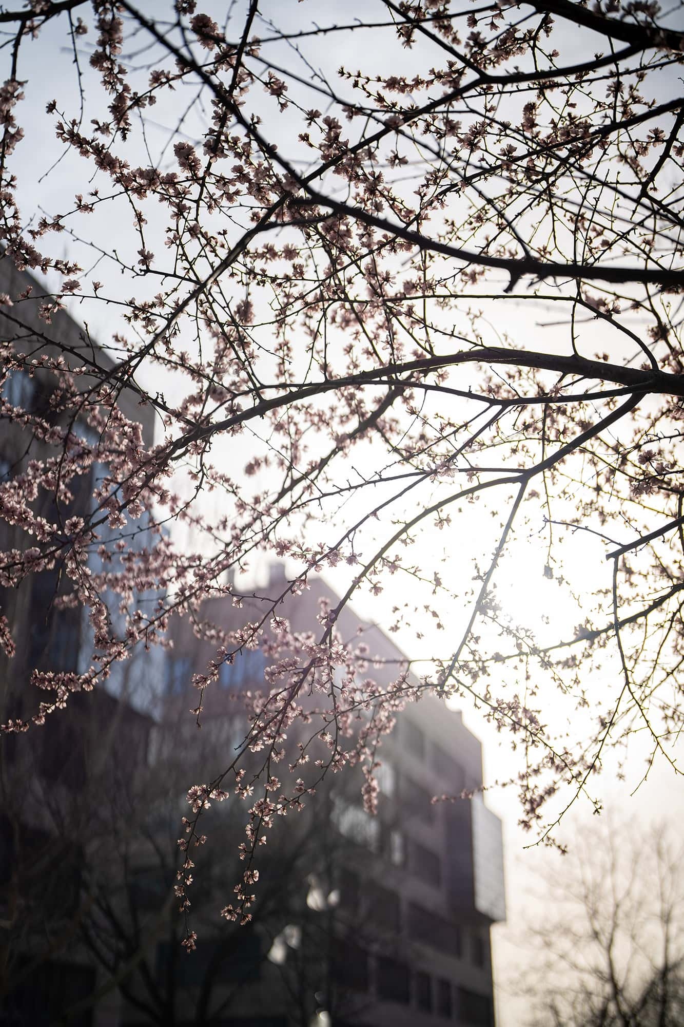 索尼fe50mmf1.2gm拍人像,索尼全画幅fe24mmf1.4测评