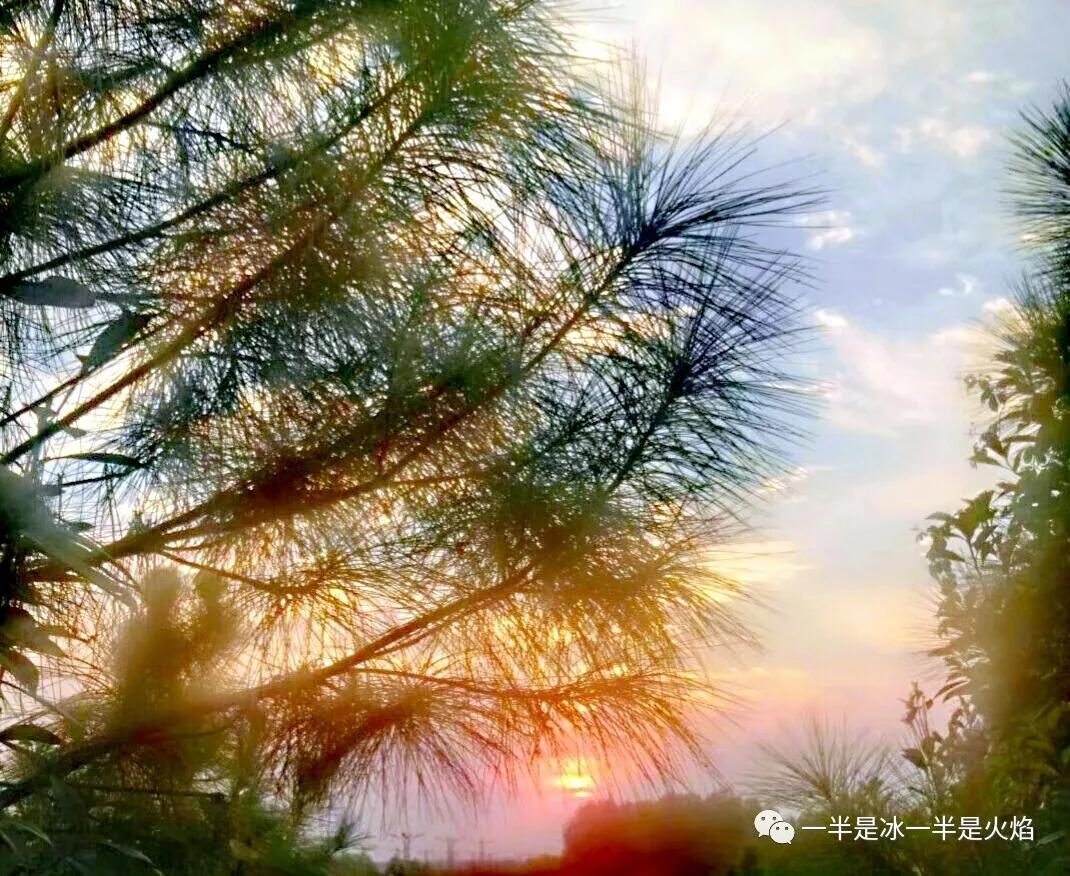 随笔冬日阳光,随笔冬日午后的阳光