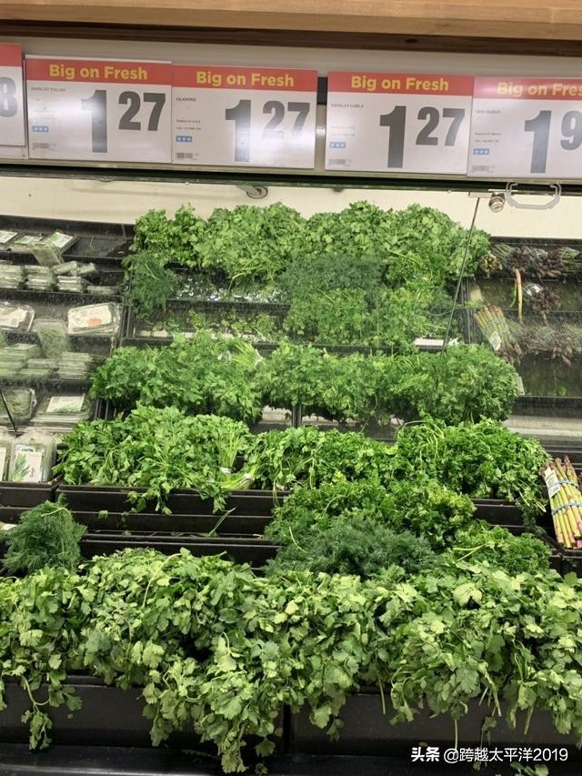 加拿大超市购物必买 (加拿大多伦多costco购物必买)