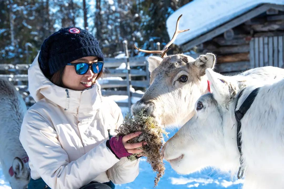 冬天去哪个国家看极光好,去北欧看极光最佳时间