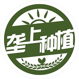 大学生卖水果年入百万,大学生卖水果创业创意项目策划