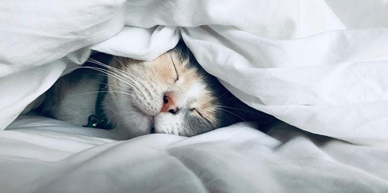 梦见自己喜欢的人意味着什么,梦见与人暧昧意味着什么