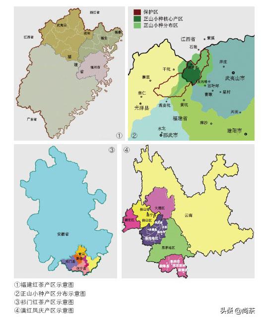 说大也大说小也小文案,给大家推荐一款好喝不贵的红茶