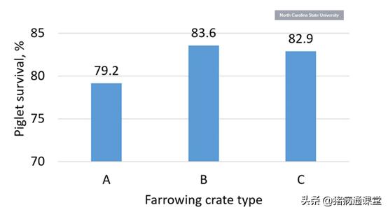 母猪产床大小对仔猪的影响,母猪产床对仔猪的影响