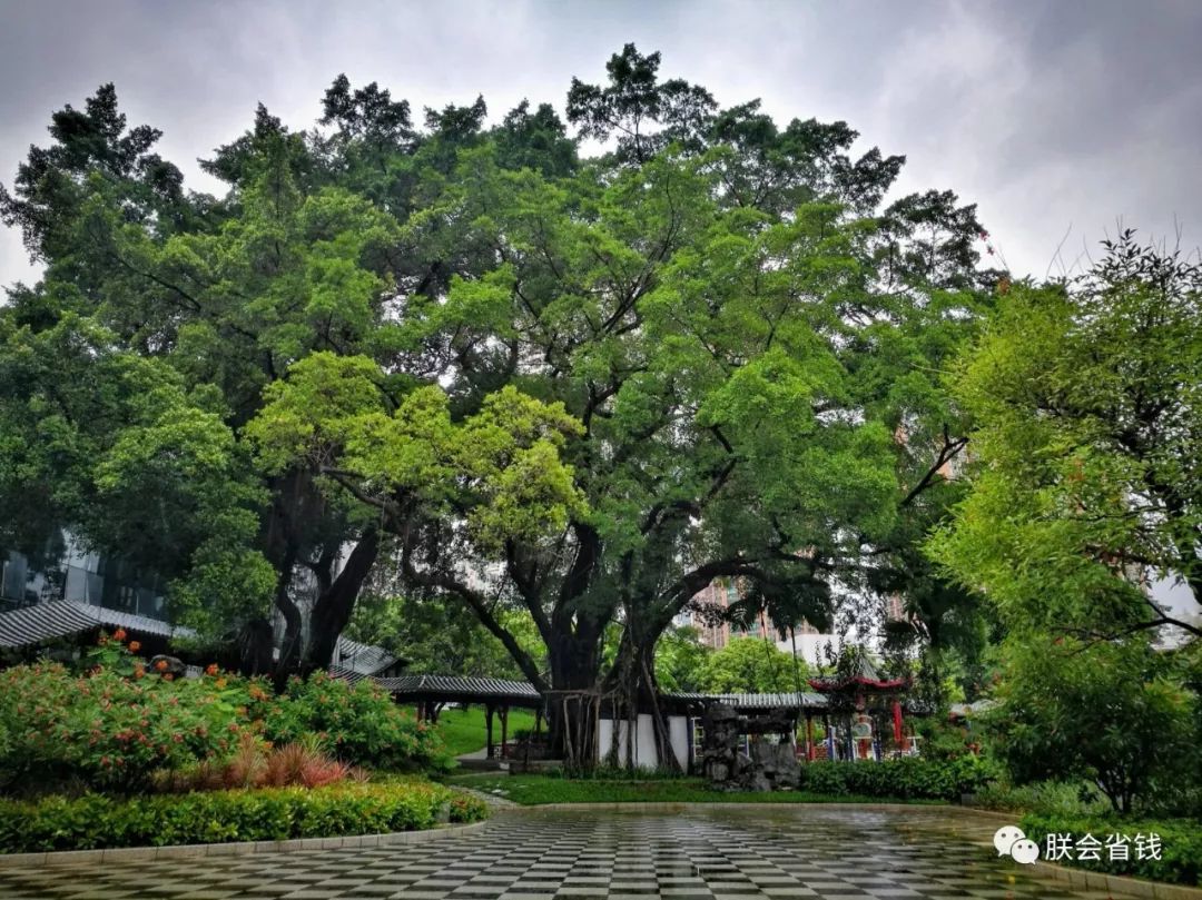 深圳一日游必去的地方免费,深圳周末自驾一日游