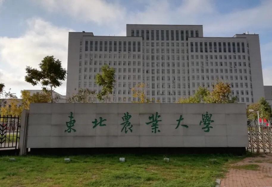 东北农业大学在黑龙江排名第几,黑龙江省前五名的大学