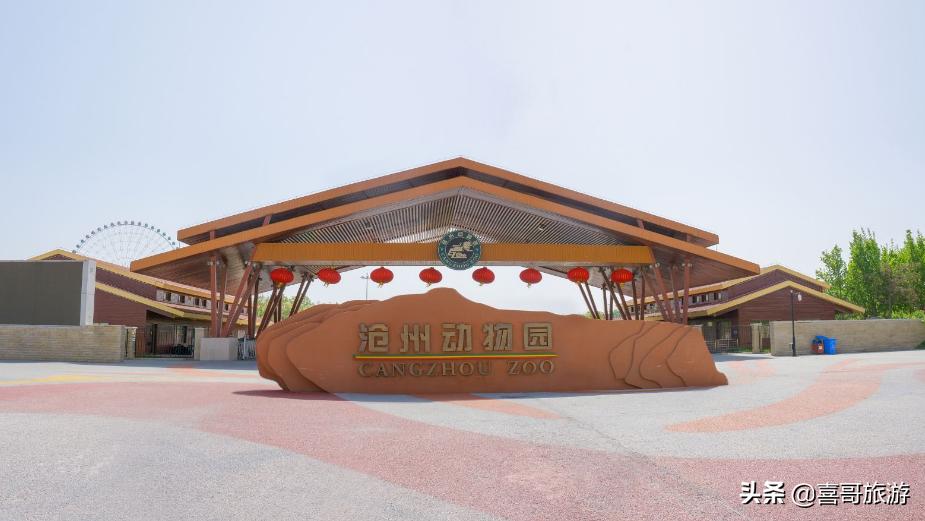 从河北沧州到新疆自驾游路线,沧州去黄山自驾游沿途景点