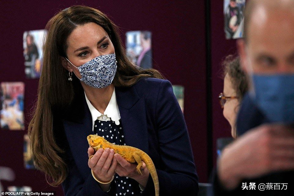 威廉凯特最新合体,凯特威廉哈里梅根秀恩爱