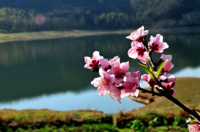 元曲最经典的一首诗,元曲最经典的十首诗