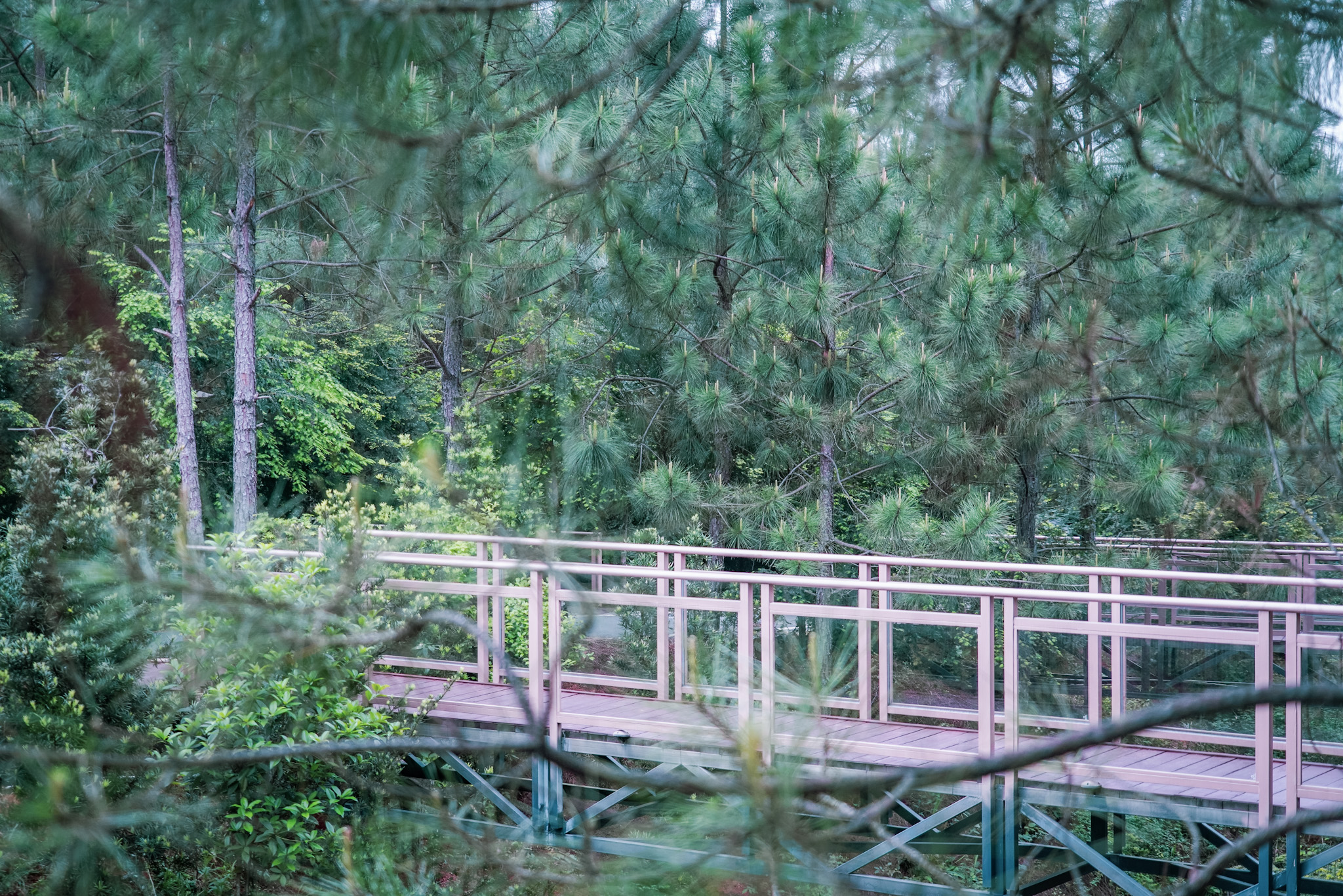 郴州仰天湖民宿多少钱一晚,郴州民宿一晚多少钱