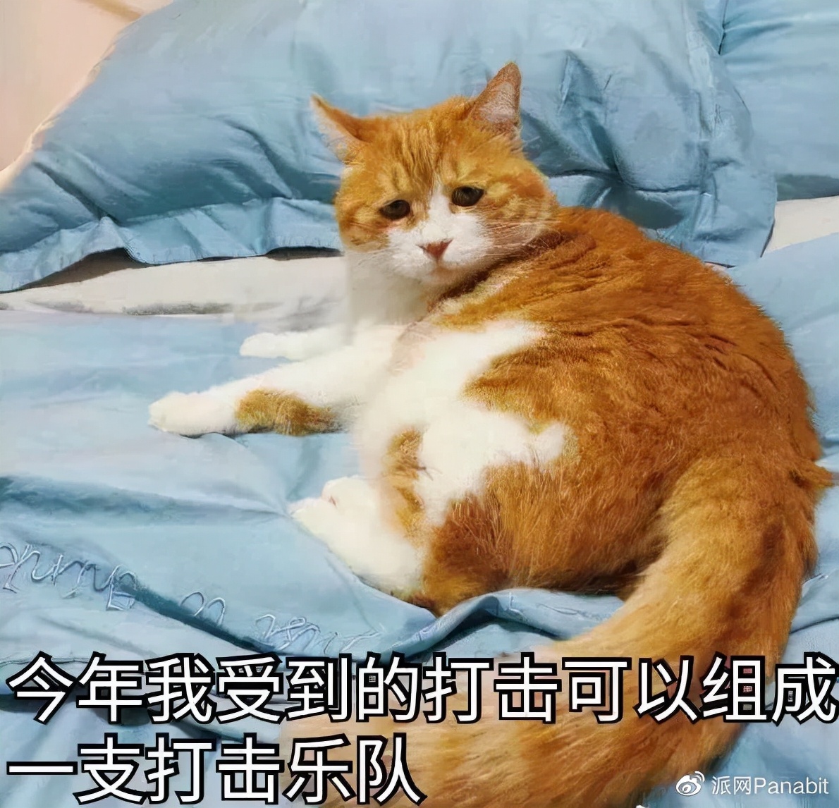 信息中心在鄙视链中的地位