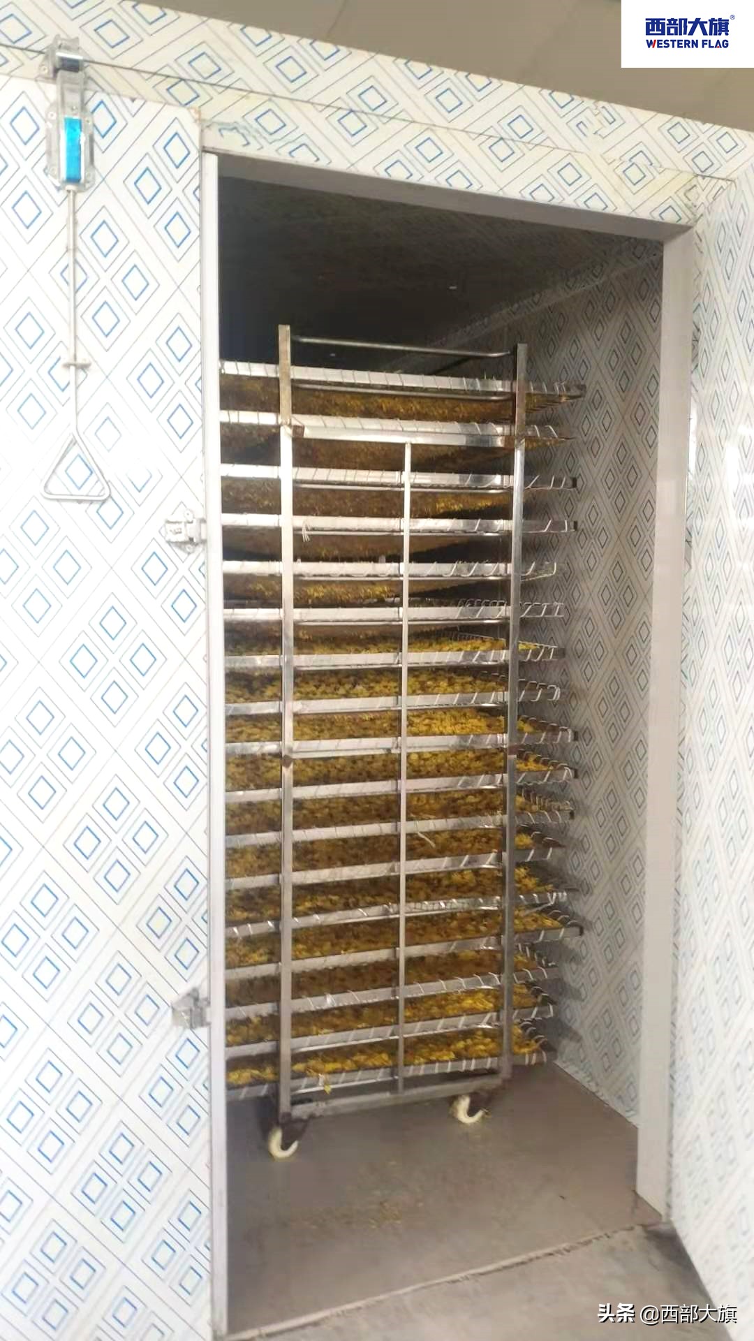 菊花烘干设备定做,菊花烘干房设备价格表