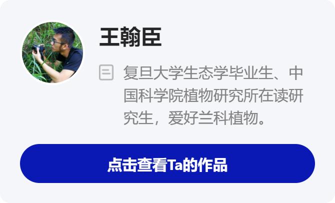 天价交易下历尽劫难的野生兰花，终于有了“护身符”