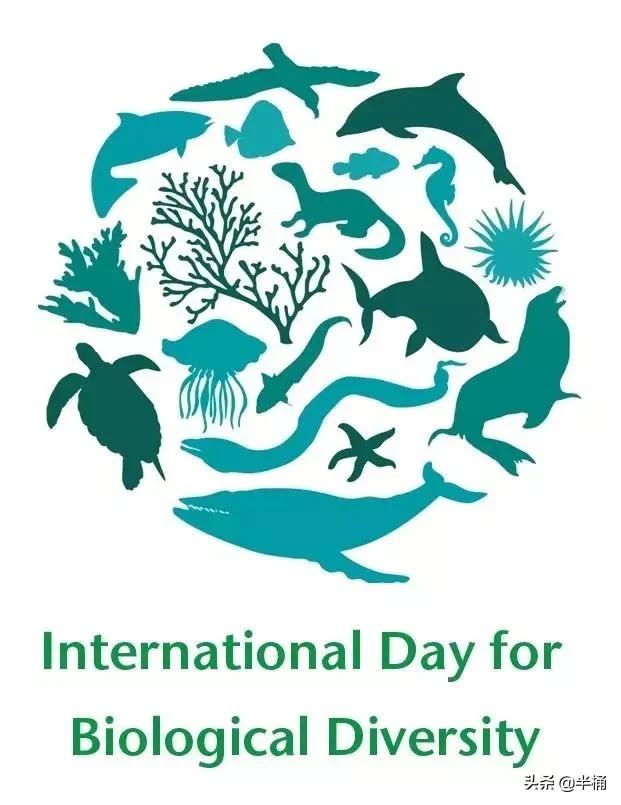 蛇中熊猫莽山烙铁头图片,蛇中熊猫莽山烙铁头有多珍稀