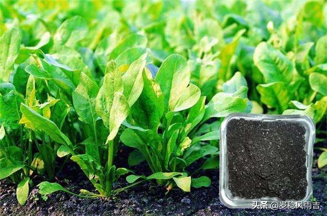 农村十大冷门赚钱行业排行榜,农村十大冷门暴利生意有哪些