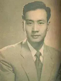 绝代佳人夏梦小说,绝代佳人夏梦简介