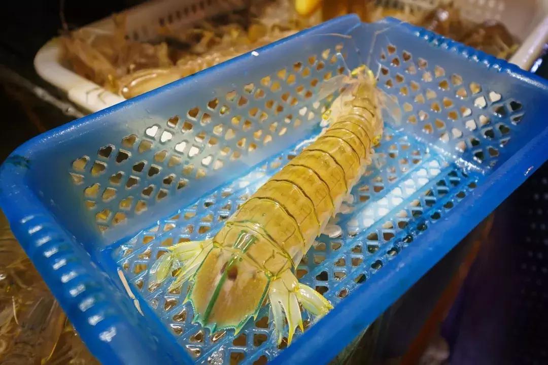 三亚出游的攻略路线怎么走得快些,三亚旅游新路线