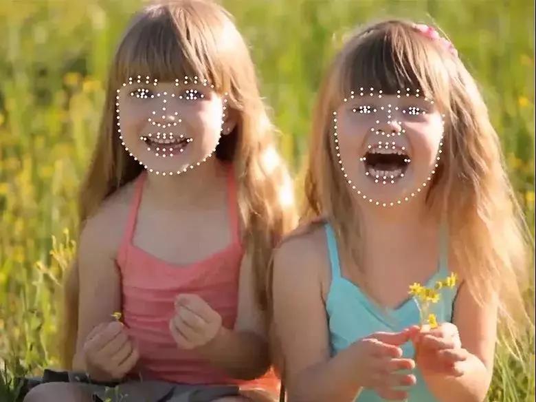 一文读懂nmn,一文看懂人类逻辑