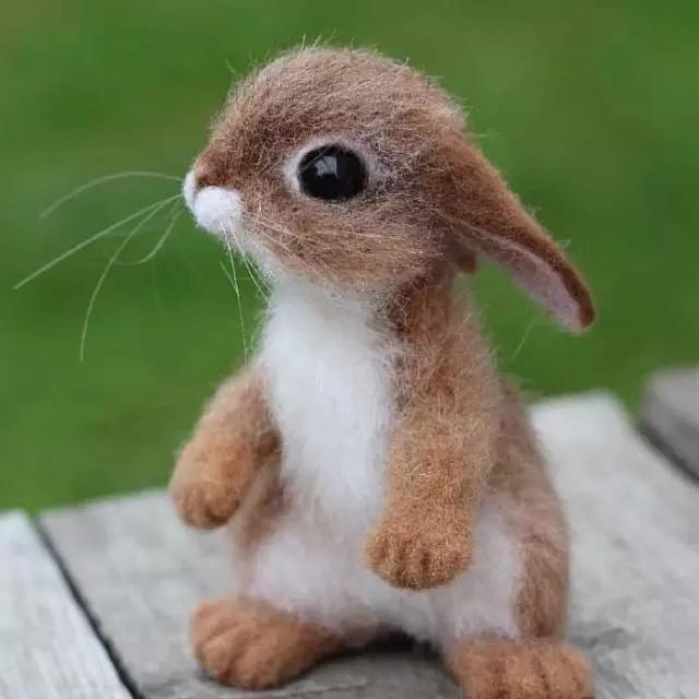 适合发说说的句子搞笑简短一点,很皮又很逗比的说说短句