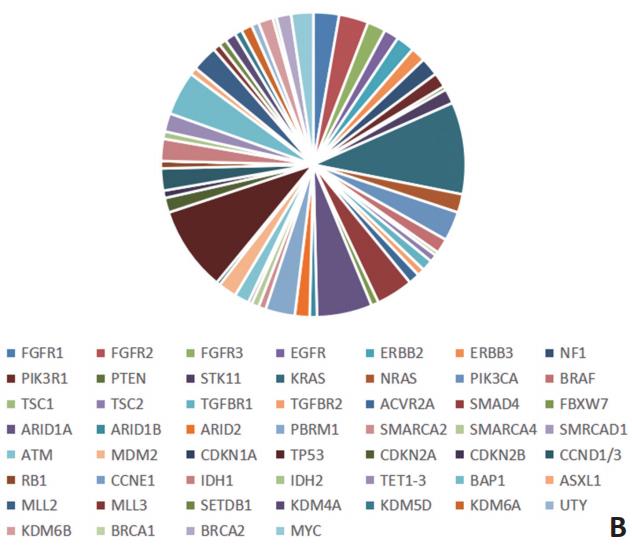 晚期胆管细胞癌的治疗现状与进展