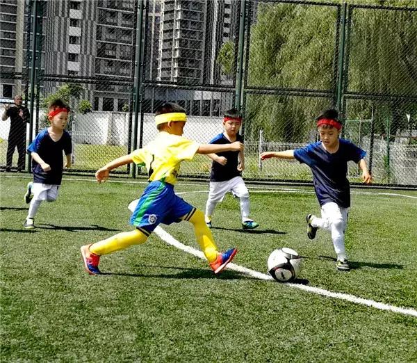 飞扬足球,飞扬足球预测