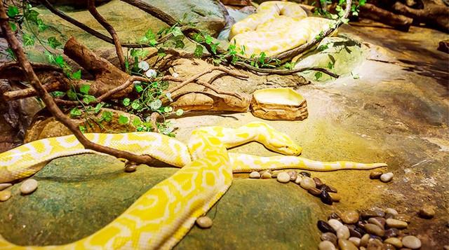 广州长隆1大1小亲子票大马戏,广州长隆珠海亲子游旅游攻略