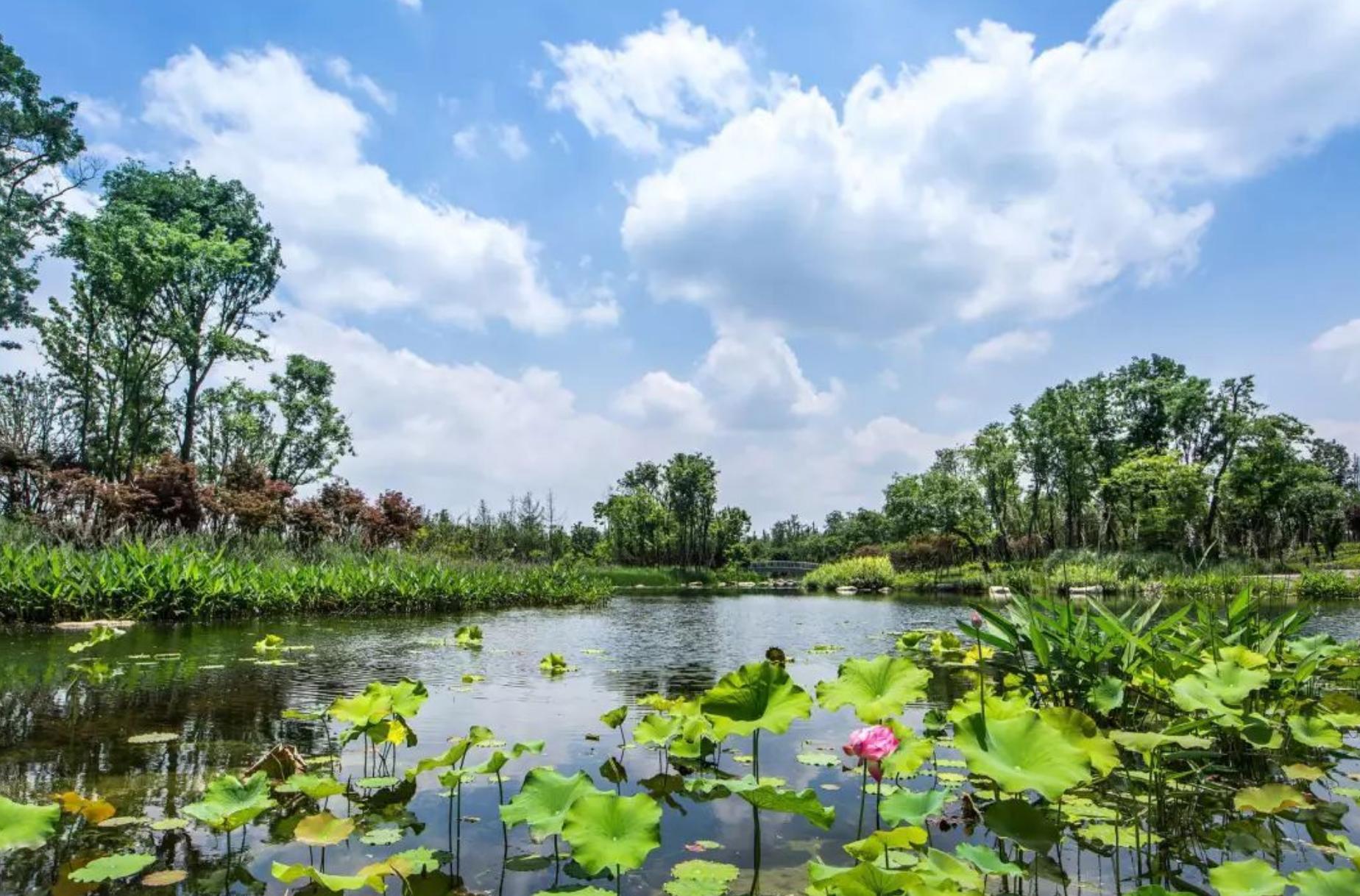 成都周末公园游玩攻略,成都散心公园游玩攻略