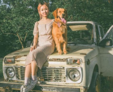 宠物狗饲养过程中应该做什么准备,狗狗饲养小技巧你知道多少