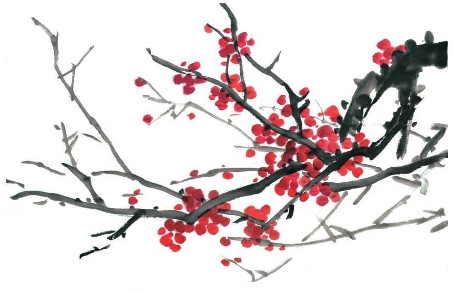 梅花入门画法教程,梅花的十种画法讲解