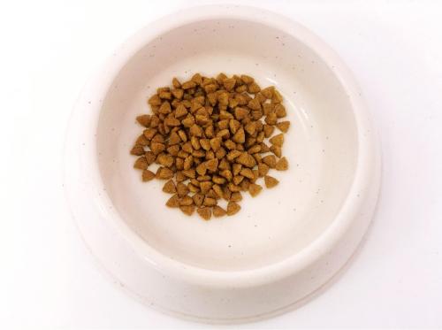 幼犬什么时候开始吃奶糕粮,一个月的狗狗如何喂食奶糕粮