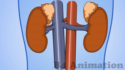 一紧张就想拉屎怎么办,一紧张就想拉屎怎么克服
