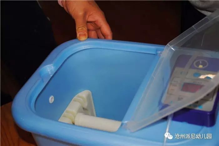 生命教育孵蛋,生命教育课程孵小鸡